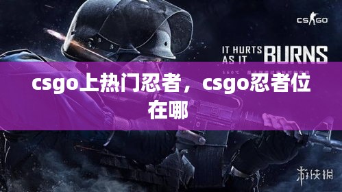 csgo上热门忍者,csgo忍者位在哪