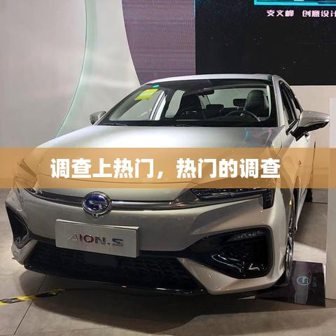调查上热门,热门的调查