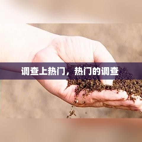 调查上热门,热门的调查