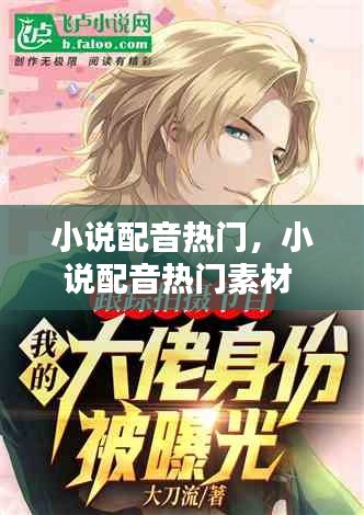 小说配音热门,小说配音热门素材