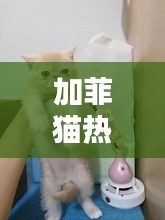 布被瓦器 第5页