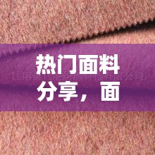 热门面料分享,面料种类排行榜