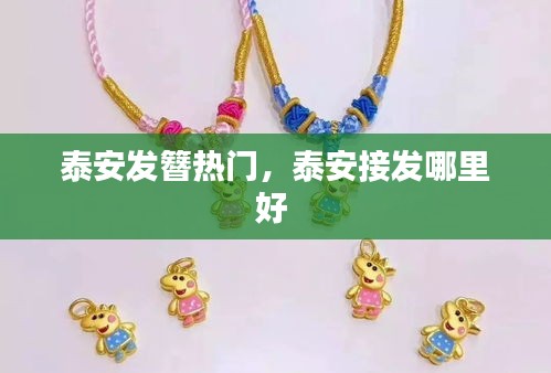 泰安发簪热门,泰安接发哪里好