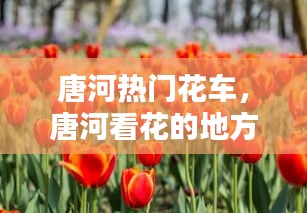 唐河热门花车,唐河看花的地方