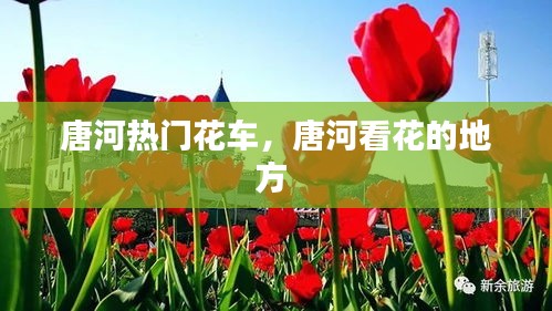 唐河热门花车,唐河看花的地方