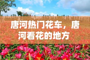 唐河热门花车,唐河看花的地方