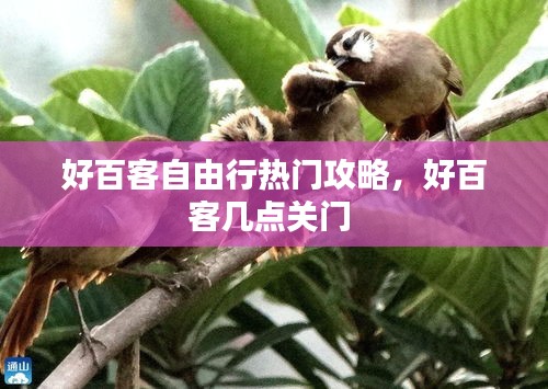 熊经鸟伸 第4页
