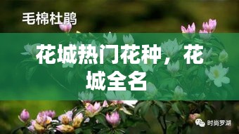 甄繁就简 第5页