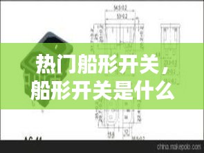 热门船形开关,船形开关是什么
