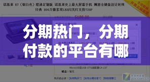分期热门,分期付款的平台有哪些家
