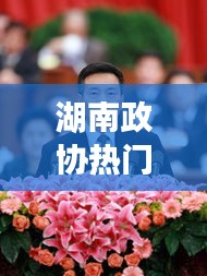 湖南政协热门提案,湖南省政协提案工作报告