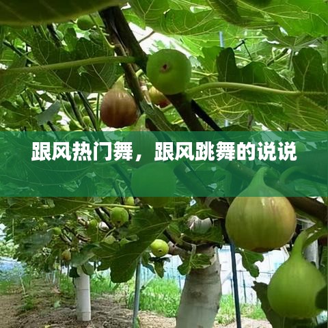 跟风热门舞,跟风跳舞的说说