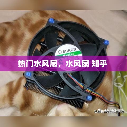 热门水风扇,水风扇 知乎