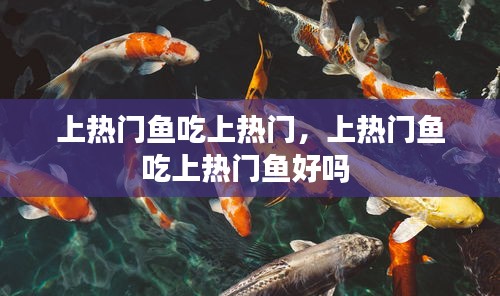 上热门鱼吃上热门,上热门鱼吃上热门鱼好吗