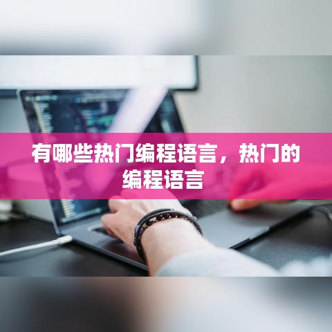 有哪些热门编程语言,热门的编程语言