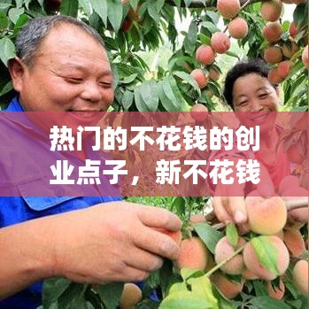 热门的不花钱的创业点子,新不花钱的创业项目