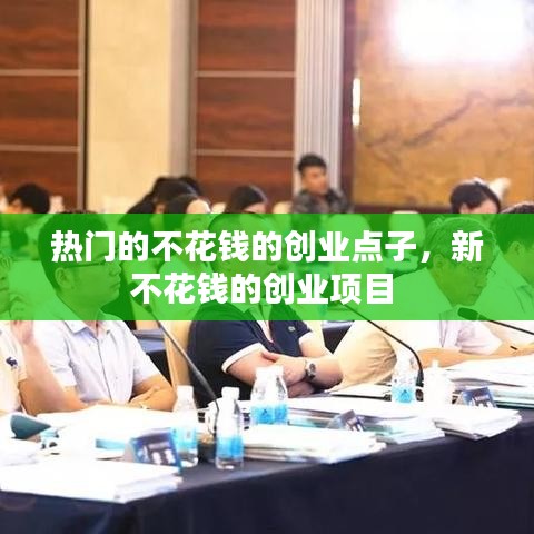 热门的不花钱的创业点子,新不花钱的创业项目