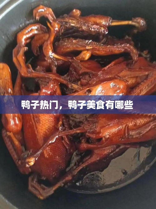 鸭子热门,鸭子美食有哪些