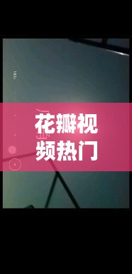 花瓣视频热门,花瓣视频剪辑