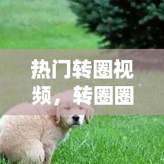 热门转圈视频,转圈圈视频配什么音乐