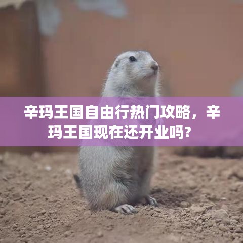 辛玛王国自由行热门攻略,辛玛王国现在还开业吗?