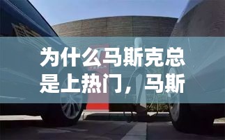 为什么马斯克总是上热门,马斯克为什么这么多钱