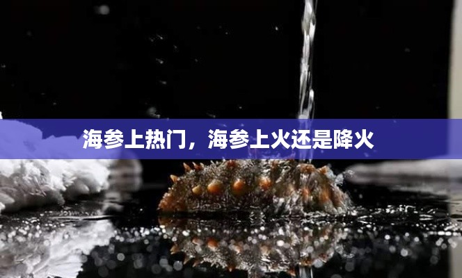 海参上热门,海参上火还是降火