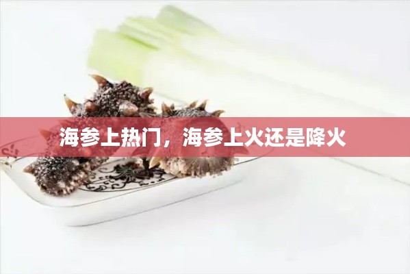 海参上热门,海参上火还是降火