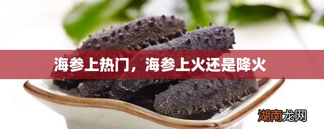 海参上热门,海参上火还是降火