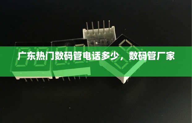 广东热门数码管电话多少,数码管厂家