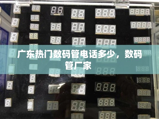 广东热门数码管电话多少,数码管厂家