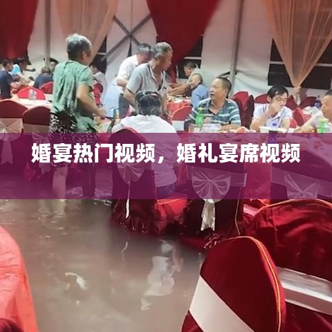 婚宴热门视频,婚礼宴席视频