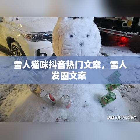 雪人猫咪抖音热门文案,雪人发圈文案