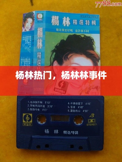 杨林热门,杨林林事件