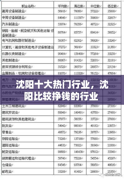 沈阳十大热门行业,沈阳比较挣钱的行业