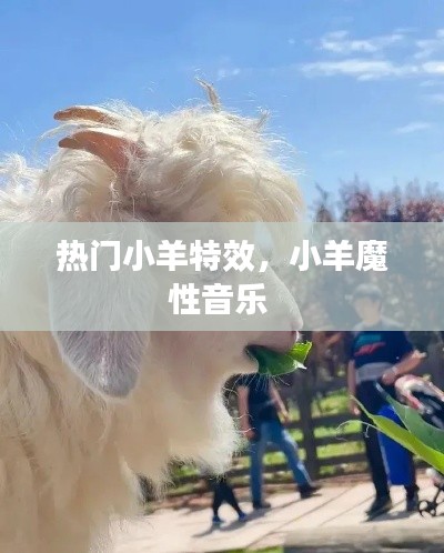 热门小羊特效,小羊魔性音乐