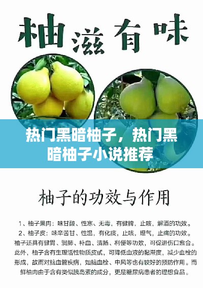 热门黑暗柚子,热门黑暗柚子小说推荐