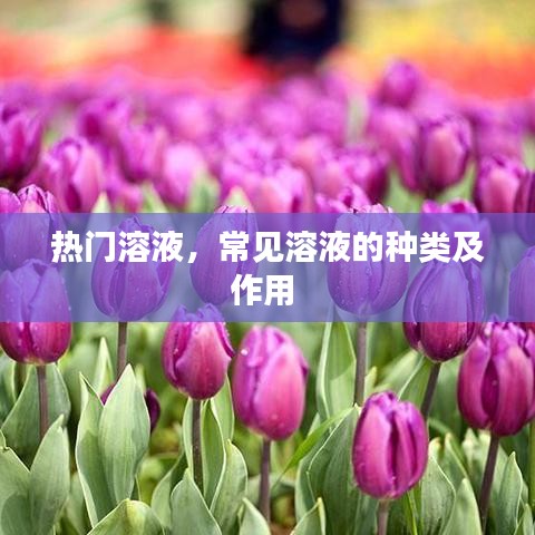 热门溶液,常见溶液的种类及作用