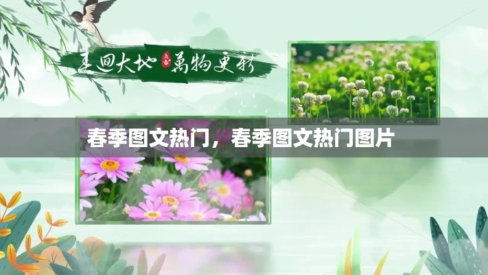 春季图文热门,春季图文热门图片