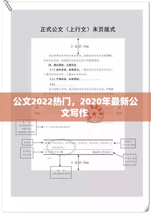 公文2022热门,2020年最新公文写作