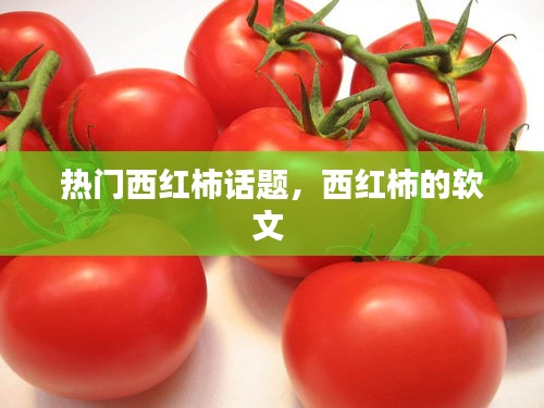 美如冠玉 第4页