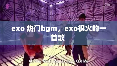 半截鸟木 第4页