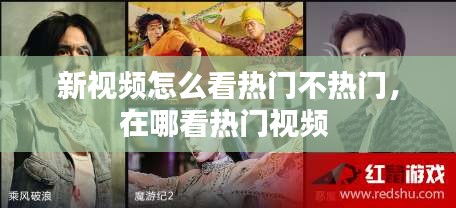 新视频怎么看热门不热门,在哪看热门视频