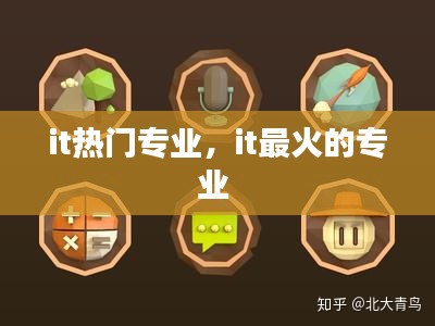 it热门专业,it最火的专业