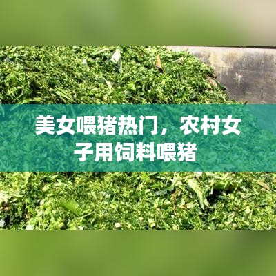 美女喂猪热门,农村女子用饲料喂猪
