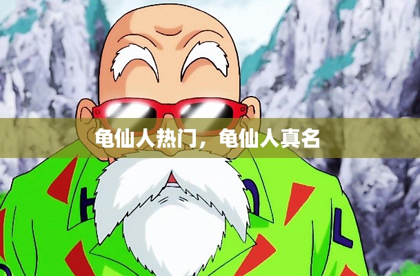 龟仙人热门,龟仙人真名