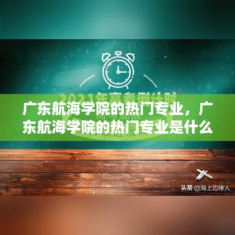 广东航海学院的热门专业,广东航海学院的热门专业是什么