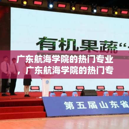 广东航海学院的热门专业,广东航海学院的热门专业是什么