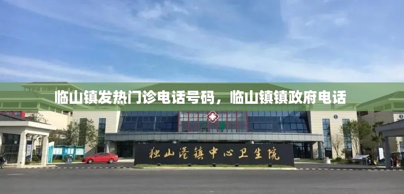 临山镇发热门诊电话号码,临山镇镇政府电话