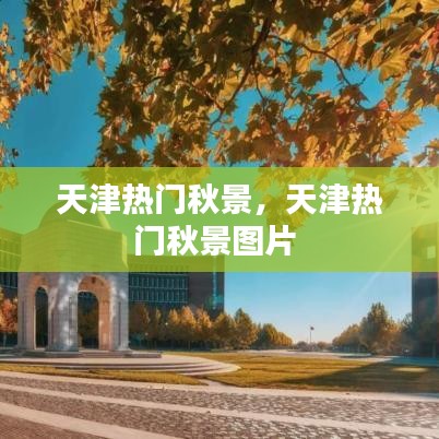 天津热门秋景,天津热门秋景图片